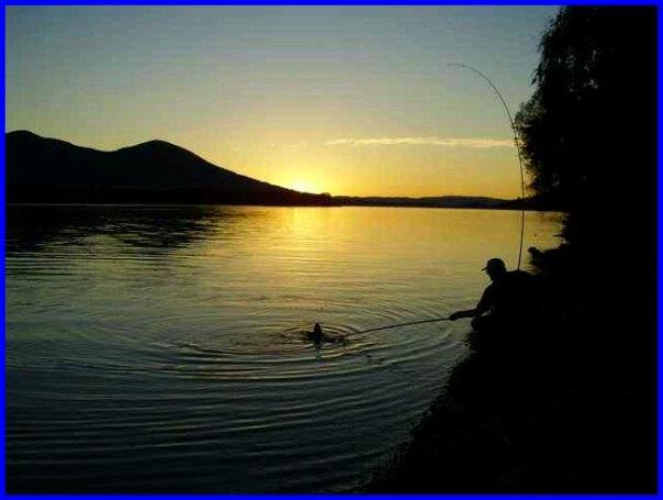 diverse - 216753999133468733900920771n1.jpg